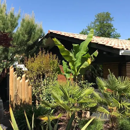 La Resiniere Piscine Patio 10h-18h * Le Teich