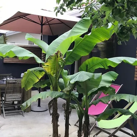 La Resiniere Piscine Patio 10h-18h