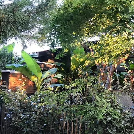 La Resiniere Piscine Patio 10h-18h *