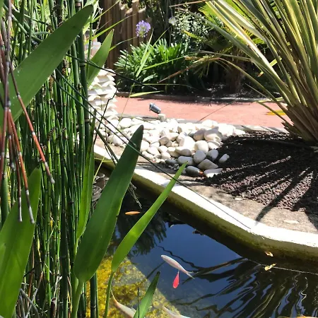 La Resiniere Piscine Patio 10h-18h Lejlighed Le Teich