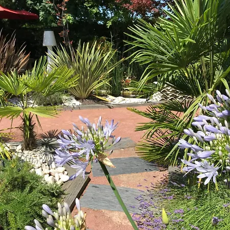 La Resiniere Piscine Patio 10h-18h * Le Teich